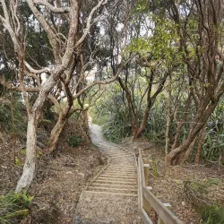 Shakespeare Cliff Walk - Whitianga