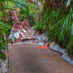 The Lost Spring - Whitianga