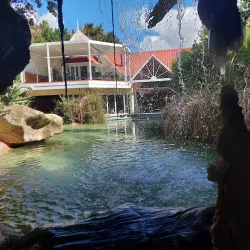 The Lost Spring - Whitianga