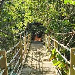 The Lost Spring - Whitianga