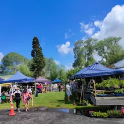 Whitianga Farmers Market - Whitianga