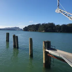 Whitianga Wharf - Whitianga