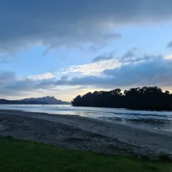 Whitianga Wharf - Whitianga