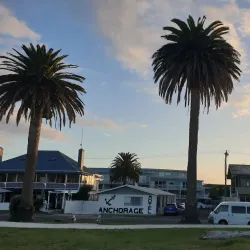 Whitianga Wharf - Whitianga