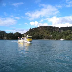 Whitianga Wharf - Whitianga