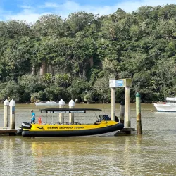 Whitianga Wharf - Whitianga