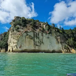 Whitianga Wharf - Whitianga