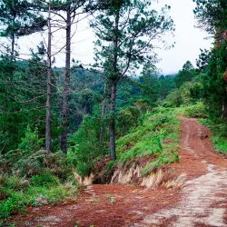 Cerro Mogotón - Esteli