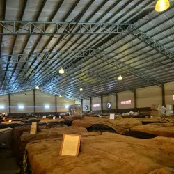 Estelí Tobacco Plantations - Esteli