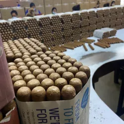 Estelí Tobacco Plantations - Esteli