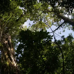 Miraflor Nature Reserve - Esteli