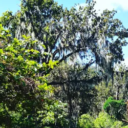 Miraflor Nature Reserve - Esteli