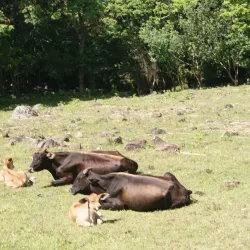 Miraflor Nature Reserve - Esteli