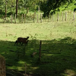 Miraflor Nature Reserve - Esteli