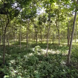 San Juan de Limay - Esteli