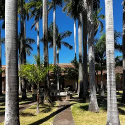 Convento y Museo San Francisco - Granada