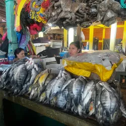Mercado Municipal de Granada - Granada