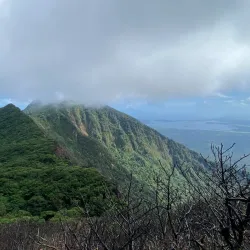 Mombacho Volcano Nature Reserve - Granada
