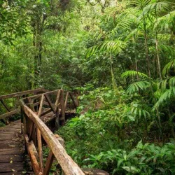 Mombacho Volcano Nature Reserve - Granada