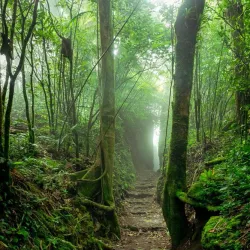 Mombacho Volcano Nature Reserve - Granada