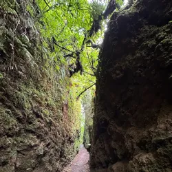 Mombacho Volcano Nature Reserve - Granada
