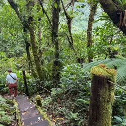 Mombacho Volcano Nature Reserve - Granada