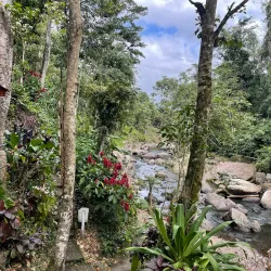 Cascada Blanca - Jinotega