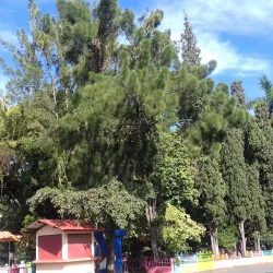 Jinotega Central Park (Parque Central) - Jinotega