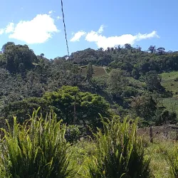 La Concordia Coffee Farm - Jinotega