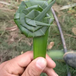 La Concordia Coffee Farm - Jinotega