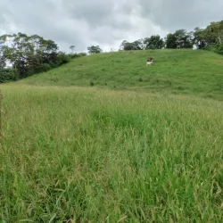 La Concordia Coffee Farm - Jinotega