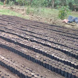 La Concordia Coffee Farm - Jinotega