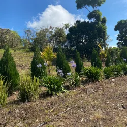 La Concordia Coffee Farm - Jinotega