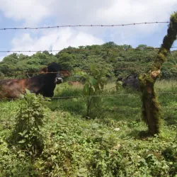 Reserva Natural Miraflor - Jinotega