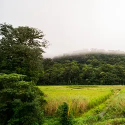 Reserva Natural Miraflor - Jinotega