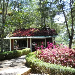 Selva Negra Mountain Resort and Coffee Tour - Jinotega