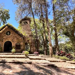 Selva Negra Mountain Resort and Coffee Tour - Jinotega