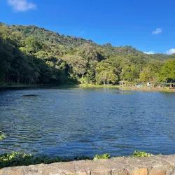 Selva Negra Mountain Resort and Coffee Tour - Jinotega