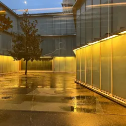 Museum of Contemporary Art (Museo de Arte Contemporáneo) - Leon