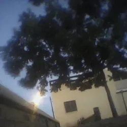 Museum of Sacred Art (Museo de Arte Sacro) - Leon