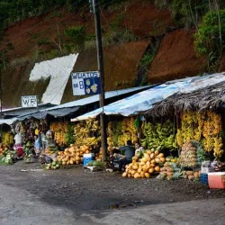 Museum of Sacred Art (Museo de Arte Sacro) - Leon
