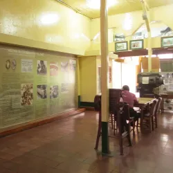 Coffee Museum (Museo del Café) - Matagalpa