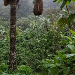 El Jaguar Reserve - Matagalpa