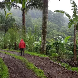 El Jaguar Reserve - Matagalpa