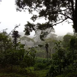 El Jaguar Reserve - Matagalpa