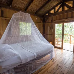 La Esperanza Coffee Farm - Matagalpa