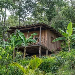 La Esperanza Coffee Farm - Matagalpa