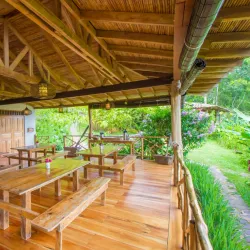 La Esperanza Coffee Farm - Matagalpa