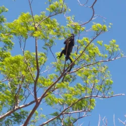 Mirador de Catarina - Matagalpa