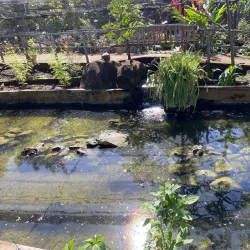 Charco Verde Nature Reserve - Rivas